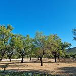 Luxury by Villa Korina - Top-Hundeurlaub