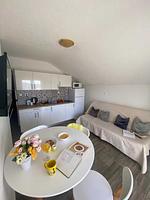 Wohnzimmer - Apartment 5 - Top-Hundeurlaub
