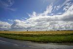 Landschaft - FeWo C27 : strandnah - Top-Hundeurlaub