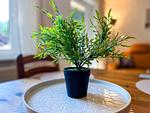 Dekoratives Detail - Haus 20a - Top-Hundeurlaub