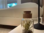 Dekoratives Detail - Haus 20a - Top-Hundeurlaub