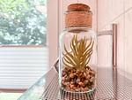 Dekoratives Detail - Haus 20a - Top-Hundeurlaub