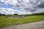 Garten - FeWo 01: Terrasse, ruhige Lage - Top-Hundeurlaub