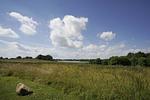 Landschaft - FeWo 01: Terrasse, ruhige Lage - Top-Hundeurlaub
