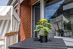 Terrasse - Isola - Top-Hundeurlaub
