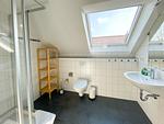 Badezimmer - Haus Seeadler 8 W11 mit Sauna und Kamin - Top-Hundeurlaub