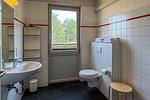 Badezimmer - Haus Seeadler 8 S1 mit Sauna und Kamin - Top-Hundeurlaub