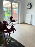 Wohnzimmer - Ferienhaus zur Knock - Top-Hundeurlaub