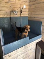 Hundedusche mit Warmwasser - Mina - Top-Hundeurlaub