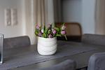 Dekoratives Detail - Frische Brise - Top-Hundeurlaub