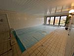 Pool - Gode Tied - Top-Hundeurlaub