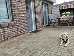 Terrasse - Sail - Top-Hundeurlaub