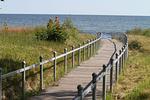 Strand - FeWo10: 100m bis zum Strand, Terrasse - Top-Hundeurlaub