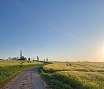 Meierhus - Top-Hundeurlaub