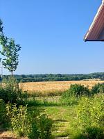 Meierhus - Top-Hundeurlaub