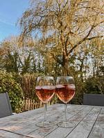 Milchkammer im Süderhof - Top-Hundeurlaub