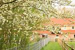 Fewo Tenne - Top-Hundeurlaub