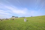 Hallig Hooge - Top-Hundeurlaub
