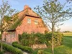 Reethus Hans - Top-Hundeurlaub