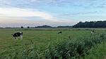 Diek - Top-Hundeurlaub