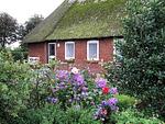 Diek - Top-Hundeurlaub