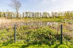 Haus am Deich - Top-Hundeurlaub