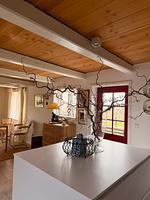 Deichherz 1869 - Top-Hundeurlaub