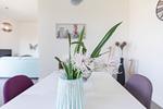 Georgs Huis - Top-Hundeurlaub