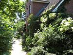 Ferienhaus Marsch auf Föhr - Top-Hundeurlaub