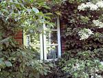 Ferienhaus Marsch auf Föhr - Top-Hundeurlaub