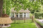 Holunder - Top-Hundeurlaub