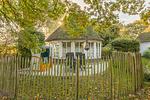 Holunder - Top-Hundeurlaub