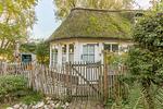 Holunder - Top-Hundeurlaub