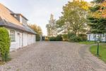 Holunder - Top-Hundeurlaub