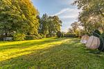 Holunder - Top-Hundeurlaub