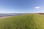 Biike - Top-Hundeurlaub