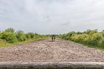Ostenfelder Stuuv - Top-Hundeurlaub