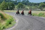 Ostenfelder Stuuv - Top-Hundeurlaub