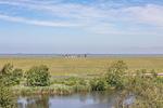 Penthouse SeeZeichen Nordstrand - Top-Hundeurlaub