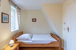 Seeadler - Top-Hundeurlaub