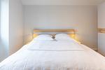 Westwind - Top-Hundeurlaub