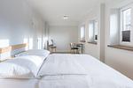 Westwind - Top-Hundeurlaub