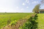 Ferienhaus Frisia - Wohnung 1 - Top-Hundeurlaub