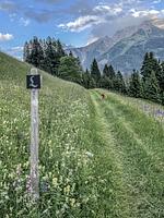 Benglerwald Berg Chaletdorf - Top-Hundeurlaub