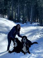 Super Hundeurlaub  - Top-Hundeurlaub