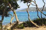 Camping Village Capo d'Orso Baia Romantic - Top-Hundeurlaub