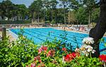 Camping Village Mare Pineta Baia Comfort - Top-Hundeurlaub