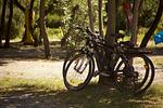 Camping Village Mare Pineta Baia Comfort - Top-Hundeurlaub