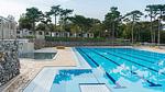 Camping Village Mare Pineta Baia Lux - Top-Hundeurlaub