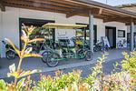 Camping Village Rosapineta Mobilehome Happy Superior - Top-Hundeurlaub